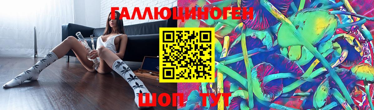 Галлюциногенные грибы Psilocybe Калининград